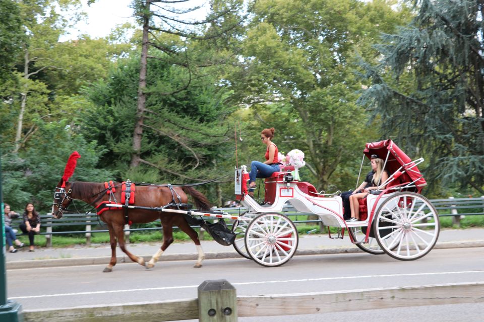 Central Park: Short Horse Carriage Ride (Up to 4 Adults) - Recap