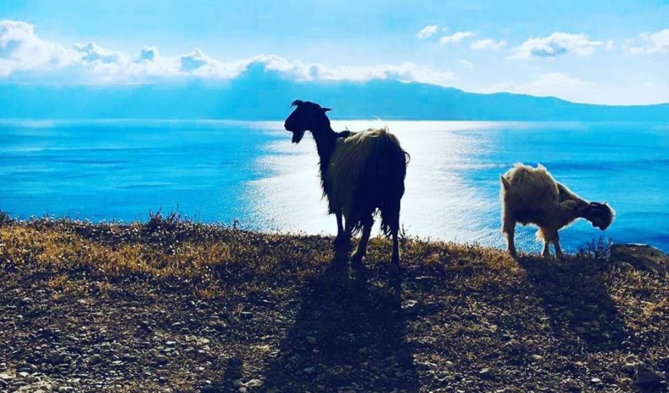 Chania Luxury Jeep Safaris: Balos Beach. A Lagoon For Bliss. - Customer Testimonials