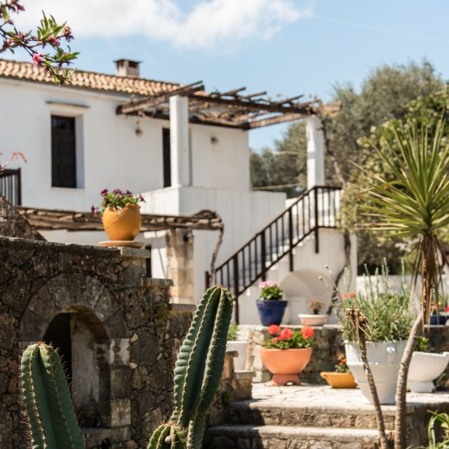 Chania Luxury Jeep Safaris: Wine & Olive Oil Tasting Secrets - Insider Tips for Tour Success