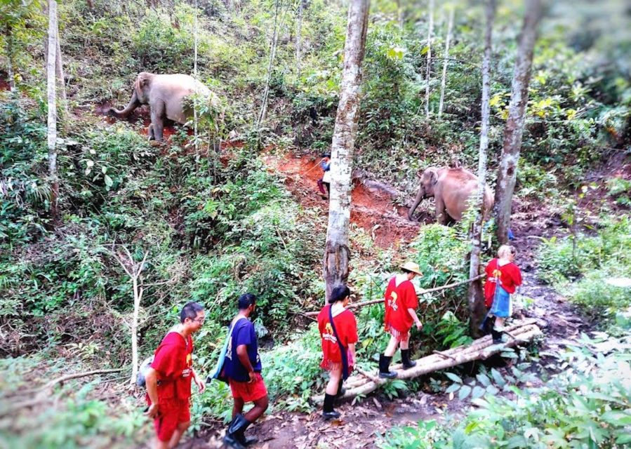 Chiang Mai : Ethical Elephant Sanctuary and ATV Adventure - Important Considerations