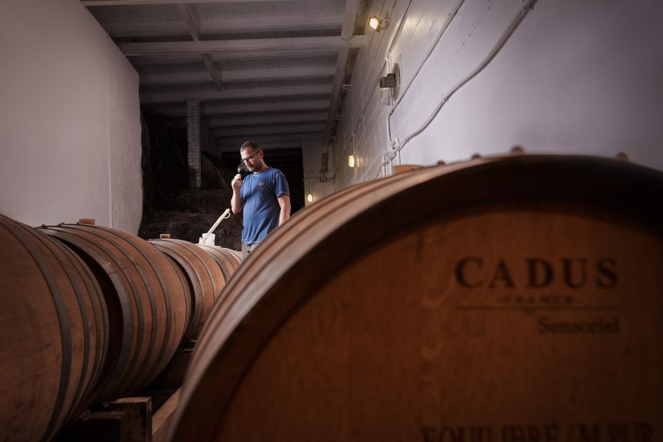 Chianti Colli Fiorentini Winery Tour 18KM From Florence - Testimonials From Guests