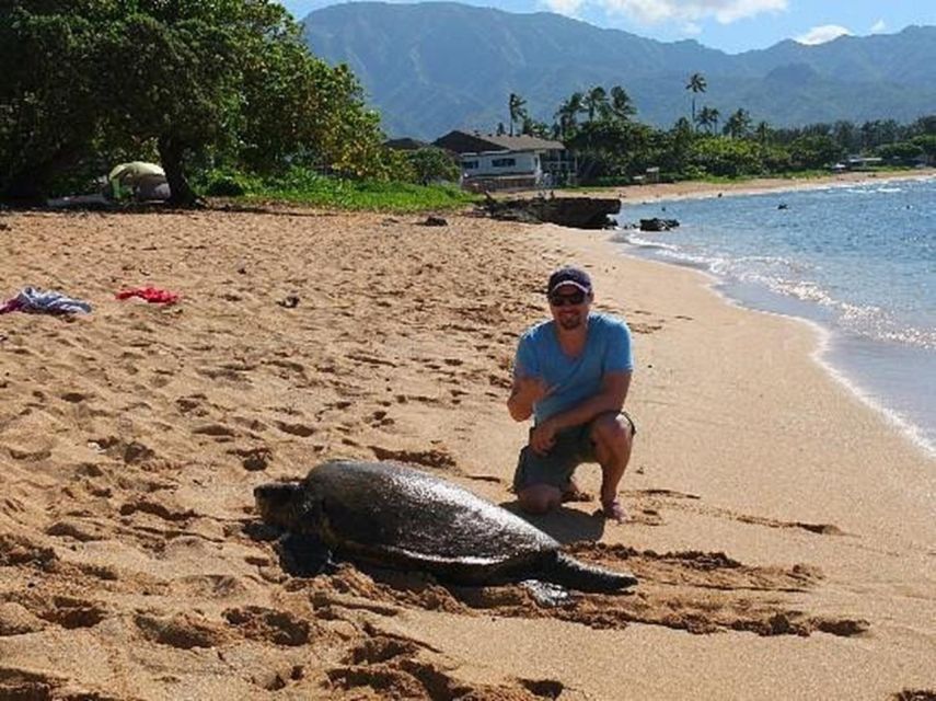 Circle Island: Swim With Turtles And Explore Paradise Oahu - Snorkeling Equipment