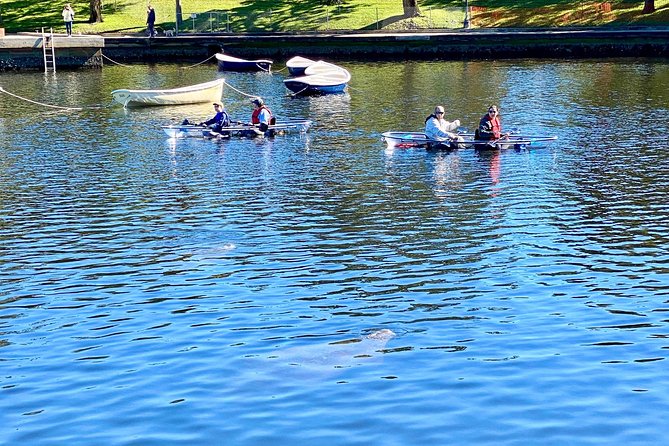 Clear Kayak Tour of Tarpon Springs | Manatee Season - Booking Information