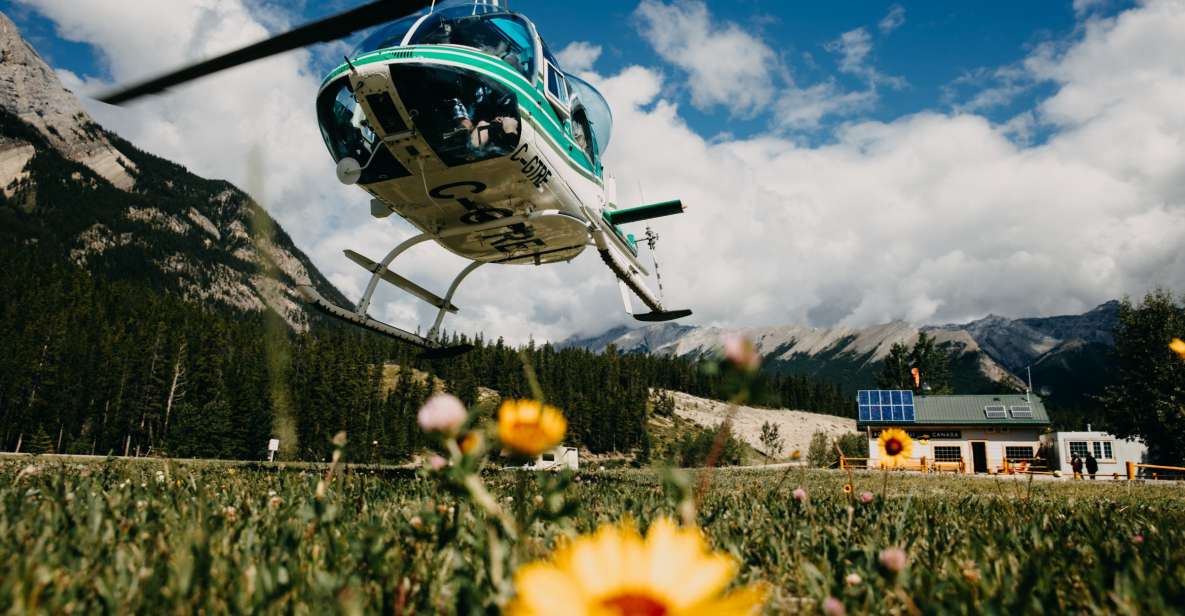 Clearwater County: Canadian Rockies Scenic Helicopter Tour - Flight Experience