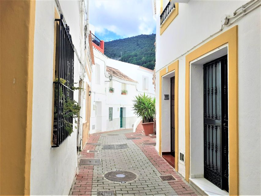 Costa Del Sol: Private Tour to Ojen - Accessibility and Mobility