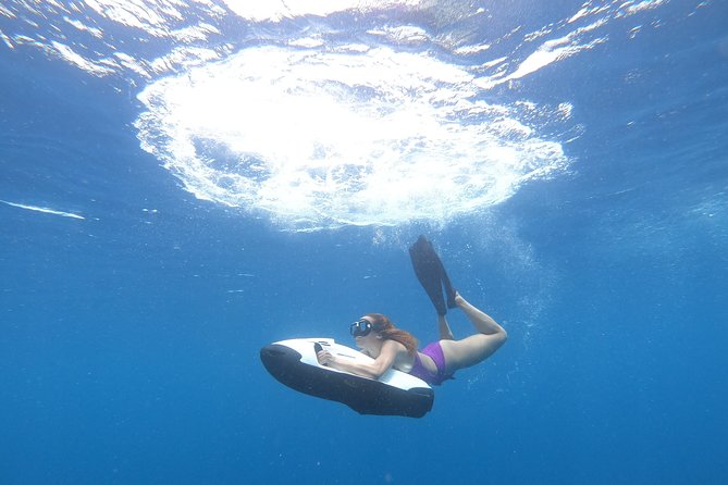 Curaçao Seabob Tour (by Bearded Butlers Curaçao) - Cancellation Policy