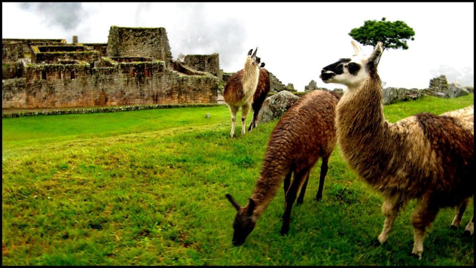 Cusco: City Tour Cusco Sacred Valley and Machu Picchu 4 Days - Booking and Logistics