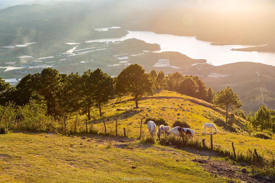 Dalat: 3D2N Nature Tour With Waterfall & Trekking - Best Time to Visit