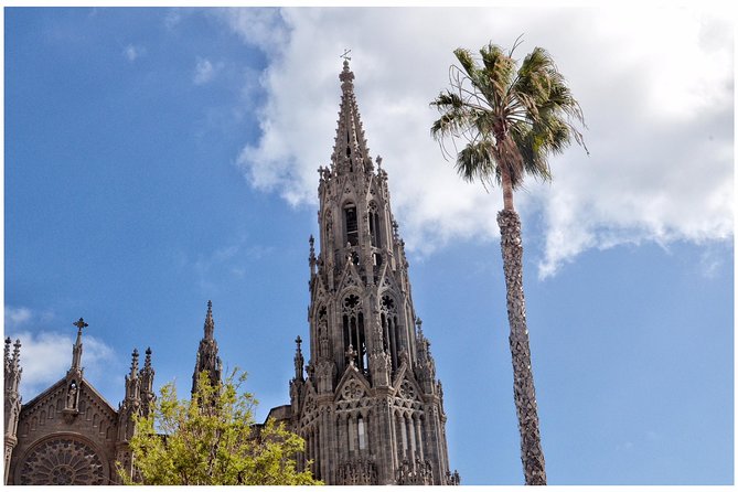 Day Tour in North of Gran Canaria With Wine Tasting - Additional Information