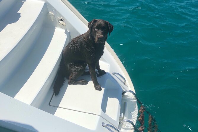 Day Trip on a Sailing Catamaran in Sardinia - Accessibility and Capacity