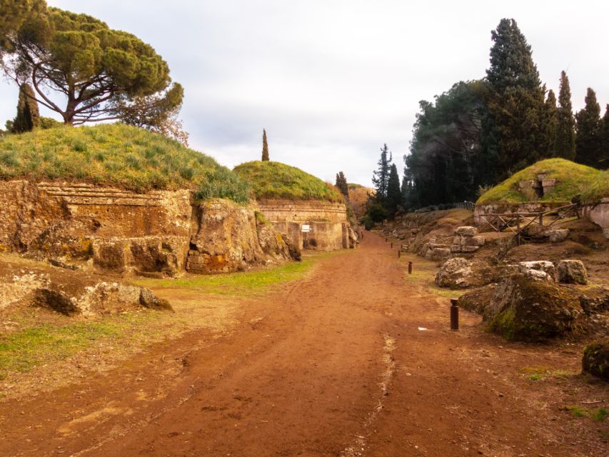 Day Trip Rome: Tarquinia and Cerveteri, Etruscan Tour - Important Considerations