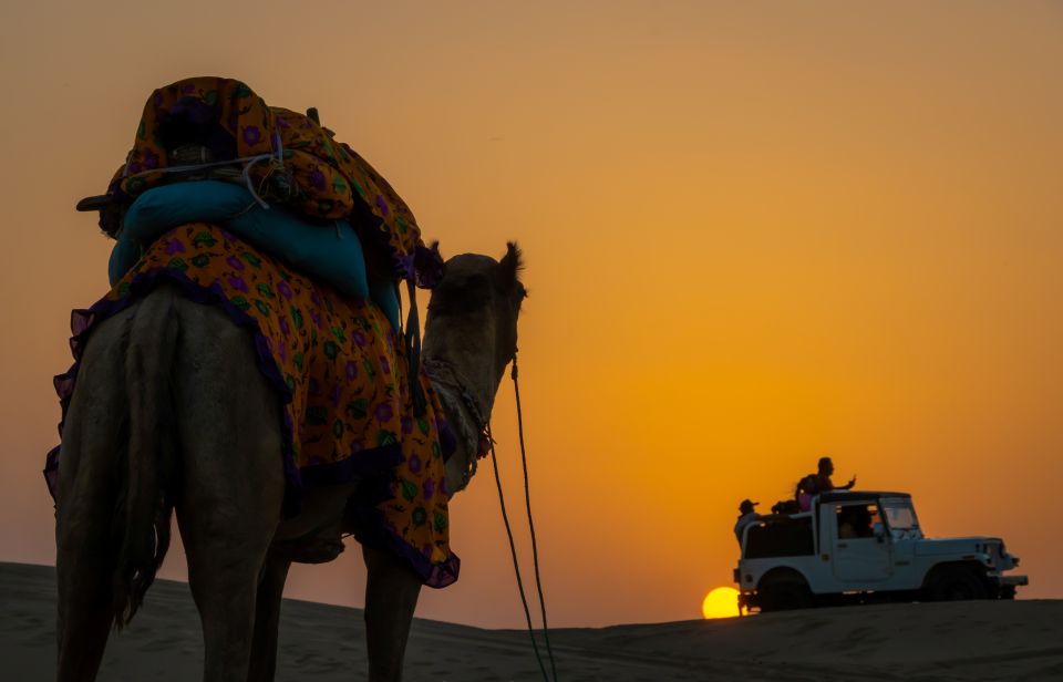 Dazzling Half Day Tour of Camel & Desert Safari With Sunset - Booking Information