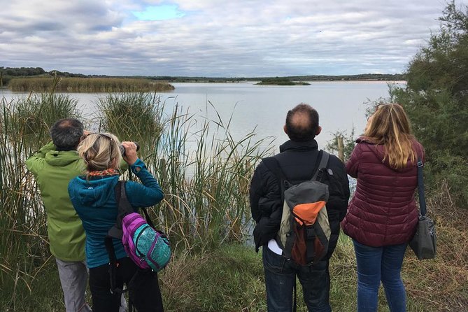 Doñana National Park and El Rocío: Guided Tour From Seville - Witnessing a Stunning Sunset