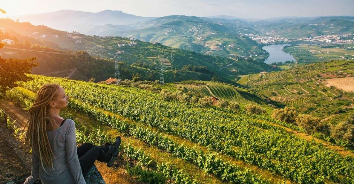 Douro Valley: Full-Day Private Wine Tour With Lunch - Frequently Asked Questions