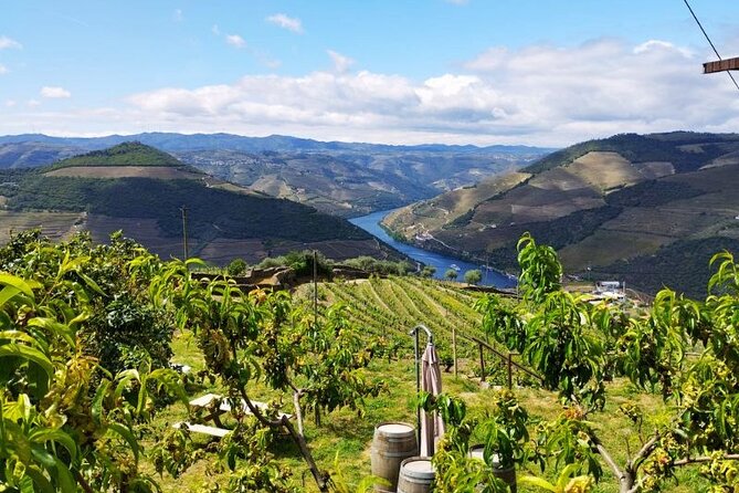 Douro Valley Small-Group Tour: 2 Wineries, Lunch, Optional Cruise - Group Size Restrictions