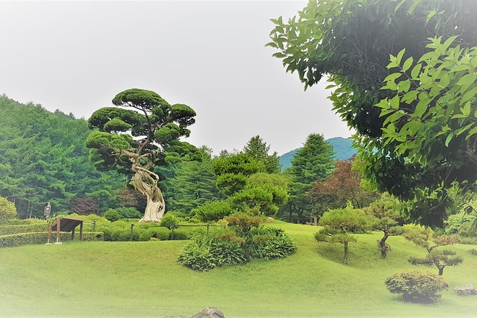 Easy Private Tour to Nami Island, Garden of Morning Calm - Best Time to Visit