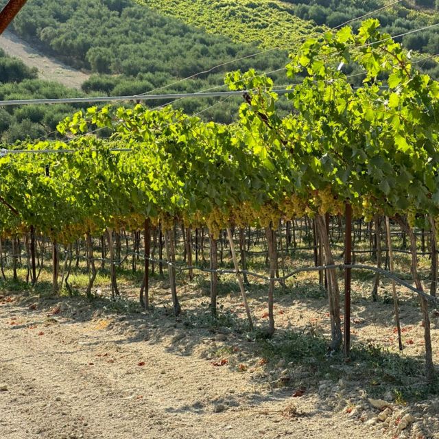 Ecobike- All Inclusive - 2 Days Tour-Discover the Real Crete - Tips for Participants