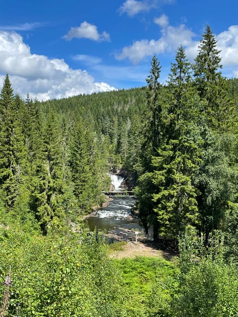 Electric Mountain Bike Tour in the Forest of Oslo - Frequently Asked Questions