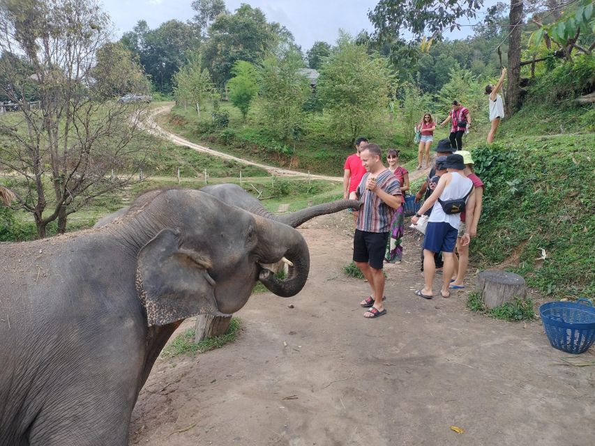 Elephant Care and Grand Canyon Jumping - Highlights of the Tour