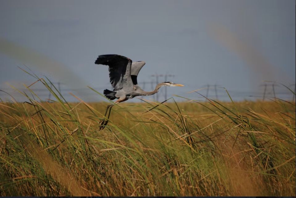 Everglades: Sawgrass Park Airboat Adventure Package - Additional Package Offerings