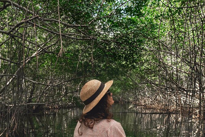 Experience on a Boat off the Beaten Track of the Most Beautiful Lagoon in Guadeloupe - Traveler Reviews and Ratings