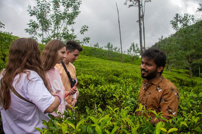 Explore the Best of Ella. Hiking, Waterfalls and Cultural Tour - Customer Reviews and Feedback