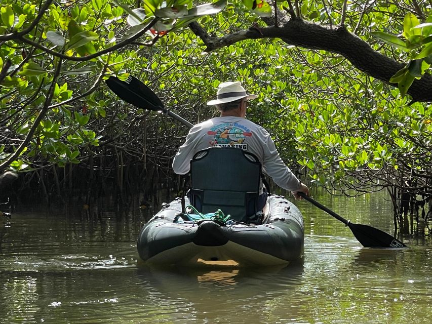 Fort Pierce: 6-hr Mangroves, Coastal Rivers & Wildlife in FL - Meeting Point and Packing