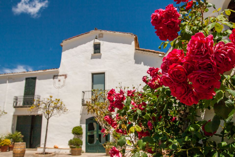 From Barcelona: Private Wine, Tapas and Cava Tour - Booking Information