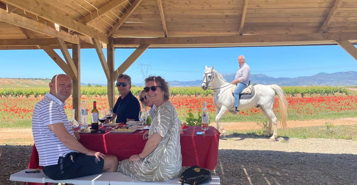 From Bilbao: Two Rioja Wineries Day Trip With Picnic Lunch - Medieval Village of Laguardia