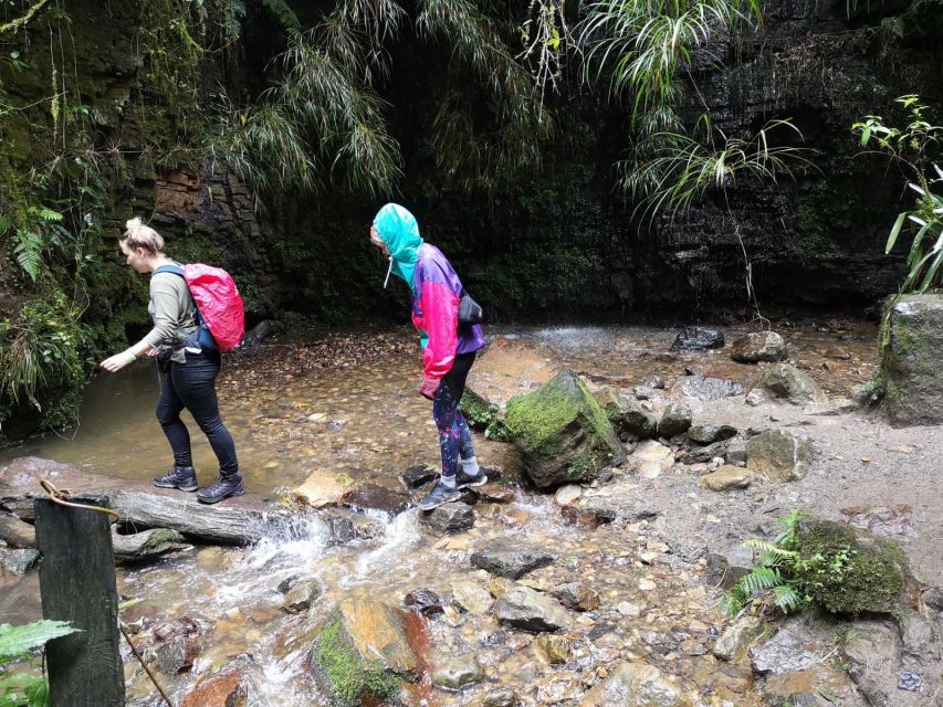 From Bogota: Hike to Colombia's Highest Waterfall - Tips for a Great Experience