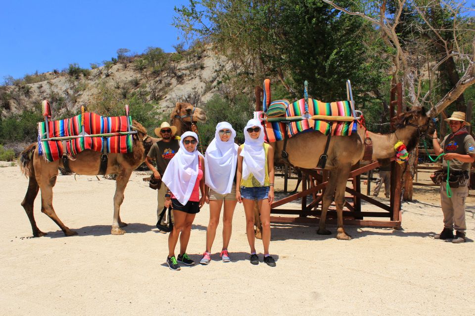 From Cabo: The Tule Canyon Camel Adventure - Important Considerations and Exclusions