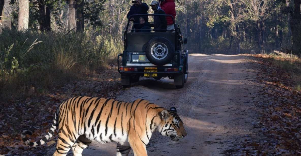 From Delhi: 7-Day Golden Triangle Tour & Ranthambore Safari - Booking Process