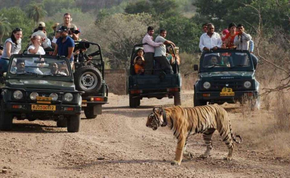 From Delhi: 7-Day Golden Triangle Trip & Ranthambore Safari - Booking and Cancellation Policy