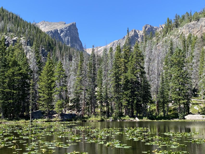 From Denver: Rocky Mountains Jeep Tour With Picnic Lunch - Recap