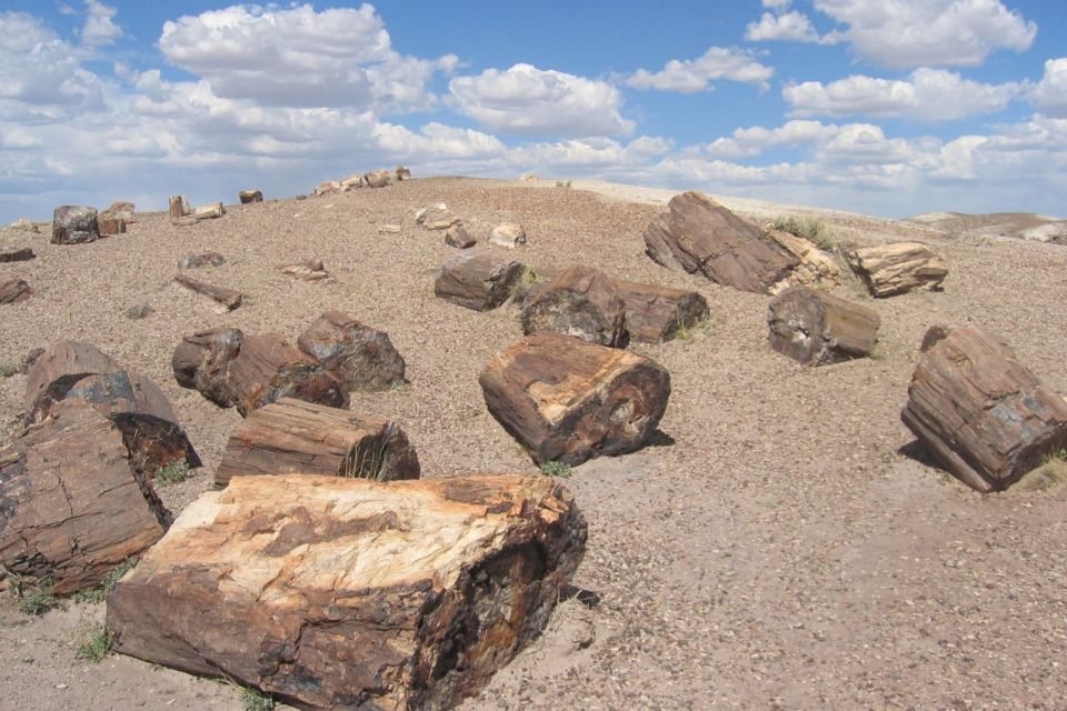 From El Calafate: La Leona Petrified Forest Day Trip - Booking and Cancellation Policy