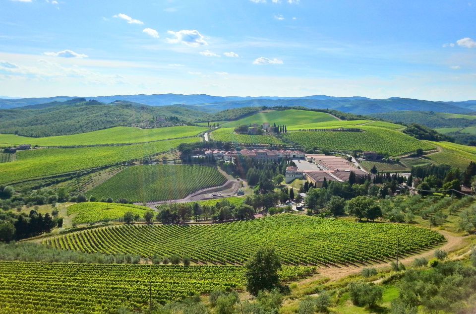 From Florence: Private Half-Day Chianti Tour & Wine Tasting - Vineyards and Ancient Cellars