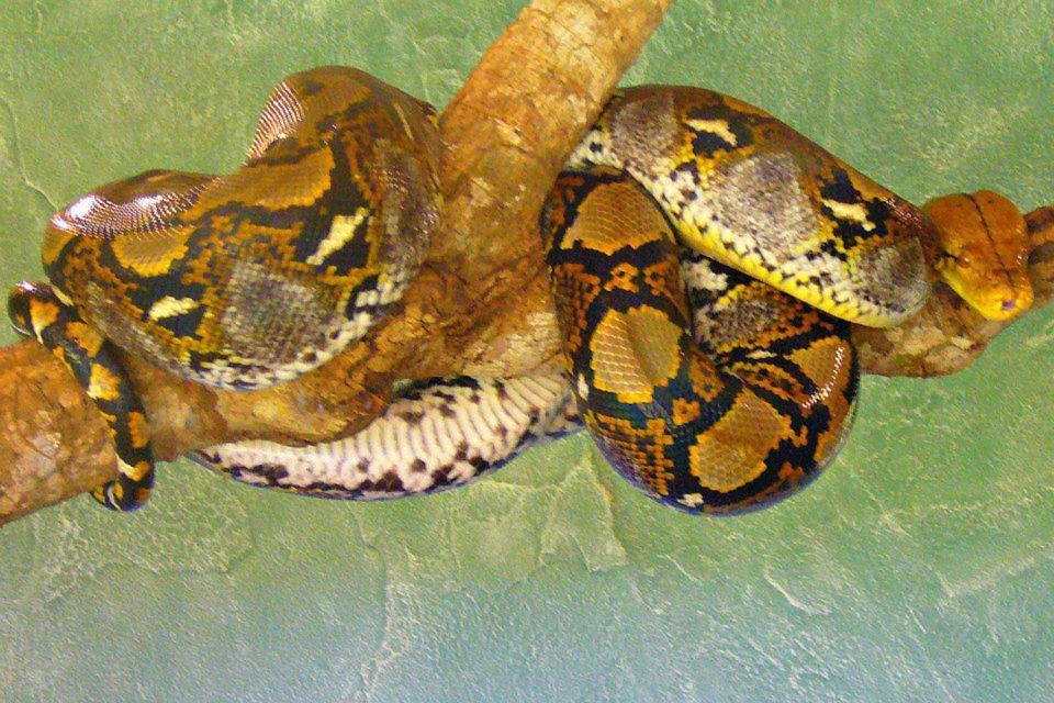 From Iguazú: Excursion to the Iguazú Biocenter - Nearby Attractions