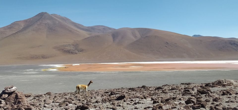 From La Paz: 2-Day Uyuni Salt Flats & Red Lagoon by Flight. - Accessibility Features