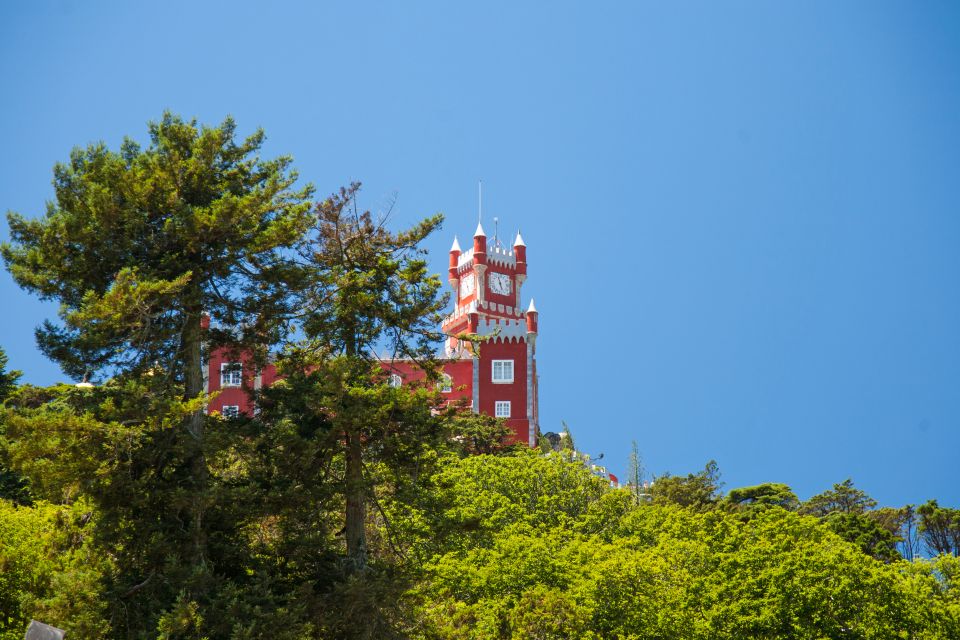 From Lisbon: Sintra, Cascais and Estoril Tour - Testimonials