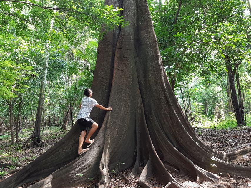 From Manaus: 3 or 4-Day Rio Negro & Anavilhanas River Cruise - Booking Information and Tips