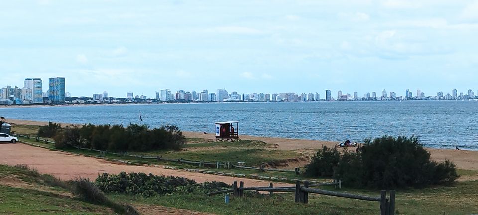 From Montevideo: Punta Del Este Full-Day Private Tour - Recap