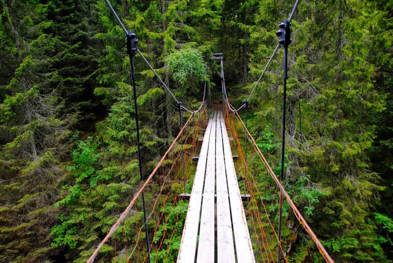 From Oslo: The Nordmarka Challenge! - How to Book Your Adventure