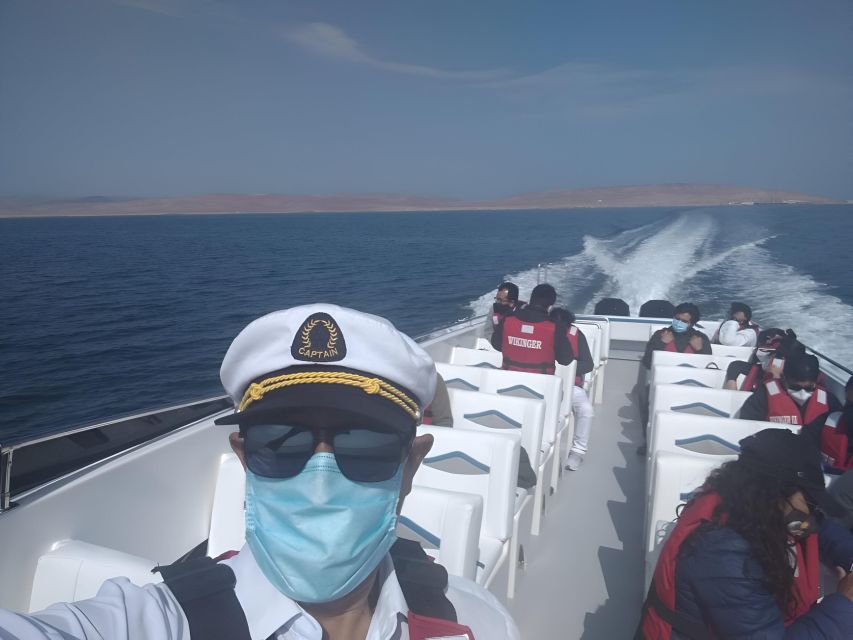 From Paracas: Ballestas Island Marine Wildlife Watching - Customer Experiences