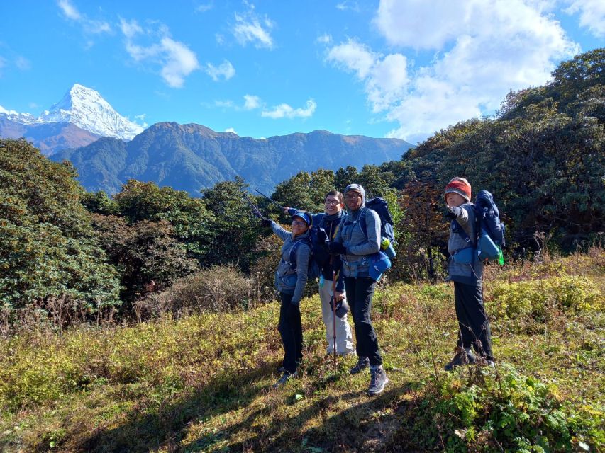 From Pokhara: 5-Day Full Board Mardi Himal Trek With Guide - Tips for Successful Trekking