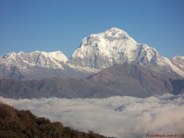From Pokhara: Annapurna Base Camp Trek - Customer Feedback