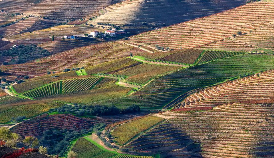 From Porto: Douro Pinhão/Régua Full Day Tour, All Inclusive - Tasting Experiences