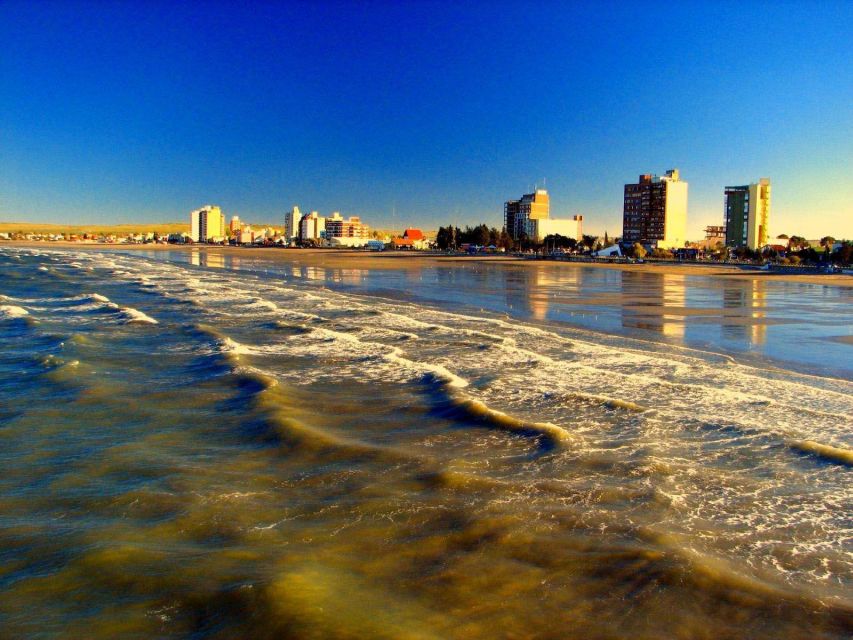 From Puerto Madryn: City and Punta Loma Tour - Nearby Attractions to Explore