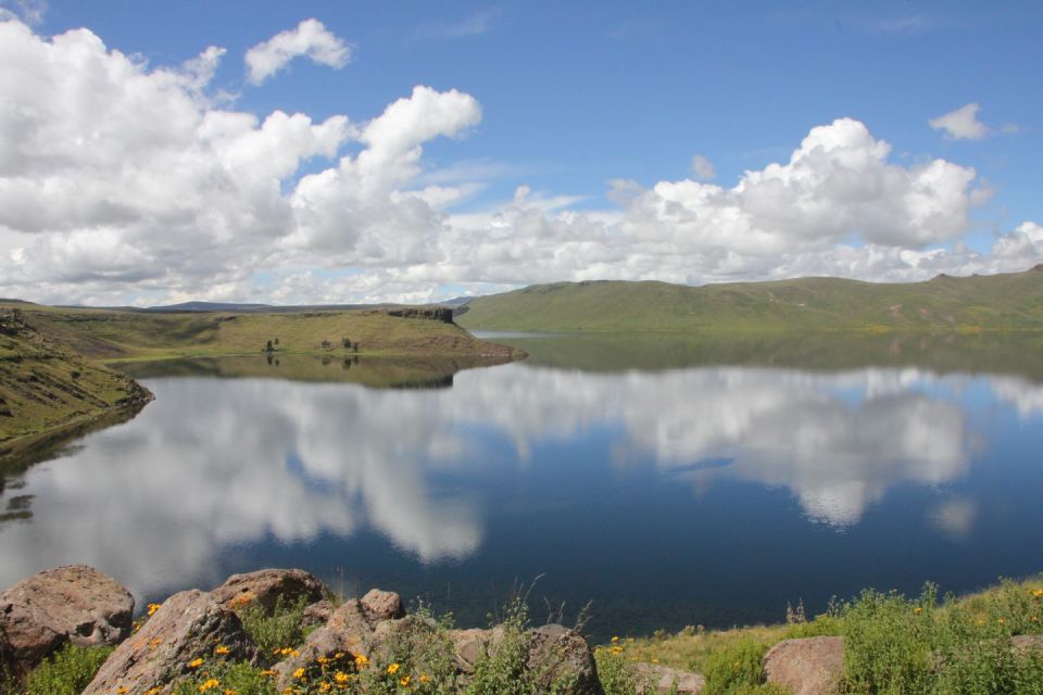 From Puno: Full-Day Uros Taquile Sillustani Tour - Customer Feedback and Ratings