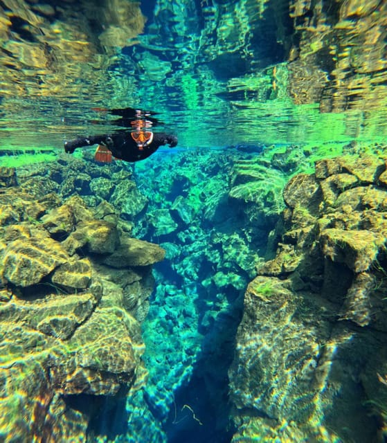 From Reykjavik: Silfra Snorkeling With Free Photos - Frequently Asked Questions