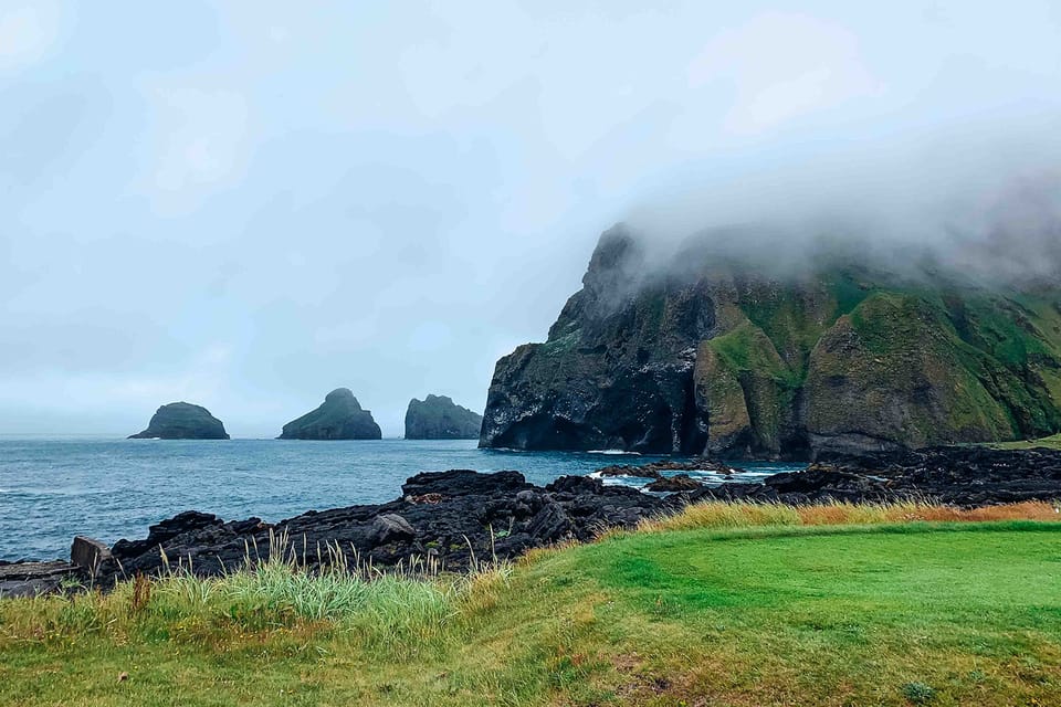 From Reykjavik: Vestmannaeyjar Islands, Puffins &Volcanoes - Booking and Cancellation Policy